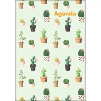   Naptár, tervező, A5, heti, DAYLINER, "Colors", Cactus 1 db