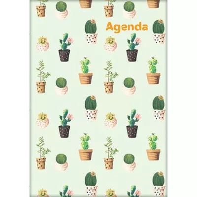 Naptár, tervező, A5, heti, DAYLINER, "Colors", Cactus 1 db