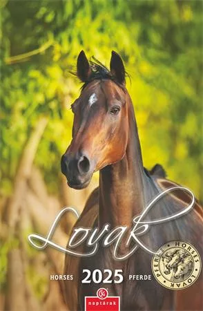 Naptár, fali, CSG "Lovak" 1 db