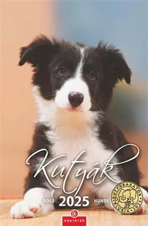 Naptár, fali, CSG "Kutyák" 1 db