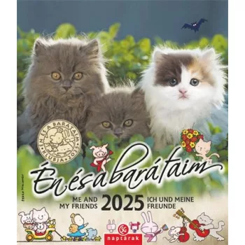 Naptár, fali, CSG "Én és a barátaim" 1 db