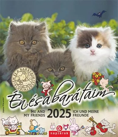 Naptár, fali, CSG "Én és a barátaim" 1 db