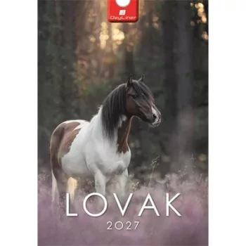 Naptár, fali, DAYLINER, "Lovak" 1 db