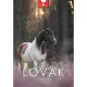 Naptár, fali, DAYLINER, "Lovak" 1 db
