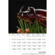 Naptár, fali, DAYLINER, "Macro Lens"