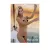 Naptár, felnőtt tartalommal, fali, TOPTIMER, "Hot girls 18+" 1 db