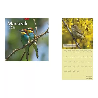 Naptár, fali, TOPTIMER "Madarak" 1 db