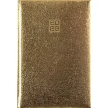   Naptár, tervező, B6, heti, DAYLINER, "Mirror", arany 1 db