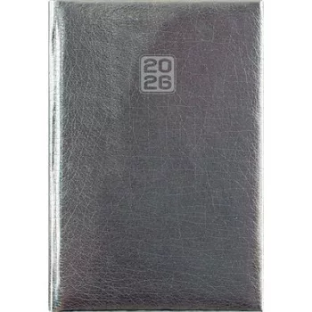  Naptár, tervező, B6, heti, DAYLINER, "Mirror", ezüst 1 db