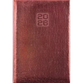   Naptár, tervező, A5, napi, DAYLINER, "Mirror", bronz 1 db