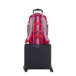 Notebook hátizsák, 15,6", 20L, RIVACASE "5225 Mercantour", szürke-piros 1 db