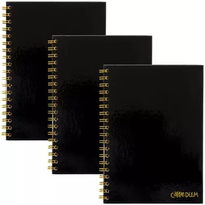 Spirálfüzet, B5, vonalas, 80 lap, FSC, PUKKA PAD "Carpe Diem", fekete 1 db