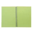 Spirálfüzet, A4, vonalas, 100 lap, PUKKA PAD "Irlen Jotta Green" 1 db
