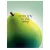 Füzet, tűzött, A5, kockás, 48 lap, SHKOLYARYK "Find Joy", vegyes 1 db