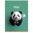 Füzet, tűzött, A4, vonalas, 80 lap, SHKOLYARYK "Daily Dose", vegyes 1 db