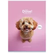 Füzet, tűzött, A4, vonalas, 80 lap, SHKOLYARYK "Daily Dose", vegyes 1 db