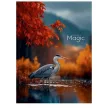 Füzet, tűzött, A4, kockás, 80 lap, SHKOLYARYK "Colorful Magic", vegyes 1 db